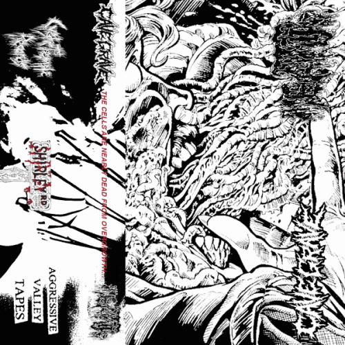 Meatus : The Cells Are Nearly Dead from Overgrowth...